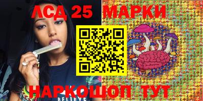 мяу мяу мука Апшеронск