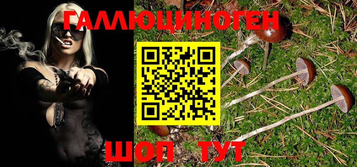 Галлюциногенные грибы Magic Shrooms  Галлюциногенные грибы GOLDEN TEACHER  сколько стоит  Белая Калитва 