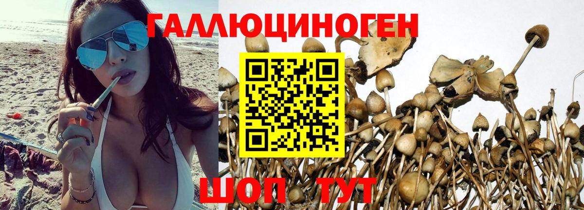 Белая Калитва  Галлюциногенные грибы ЛСД  Вход с VPN 