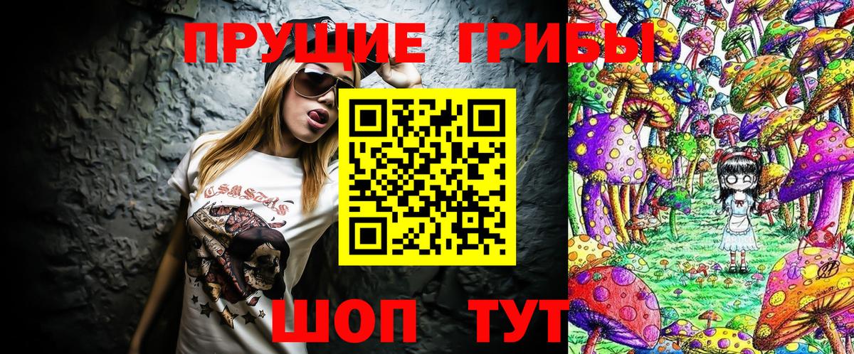 Галлюциногенные грибы Psilocybine cubensis Белая Калитва